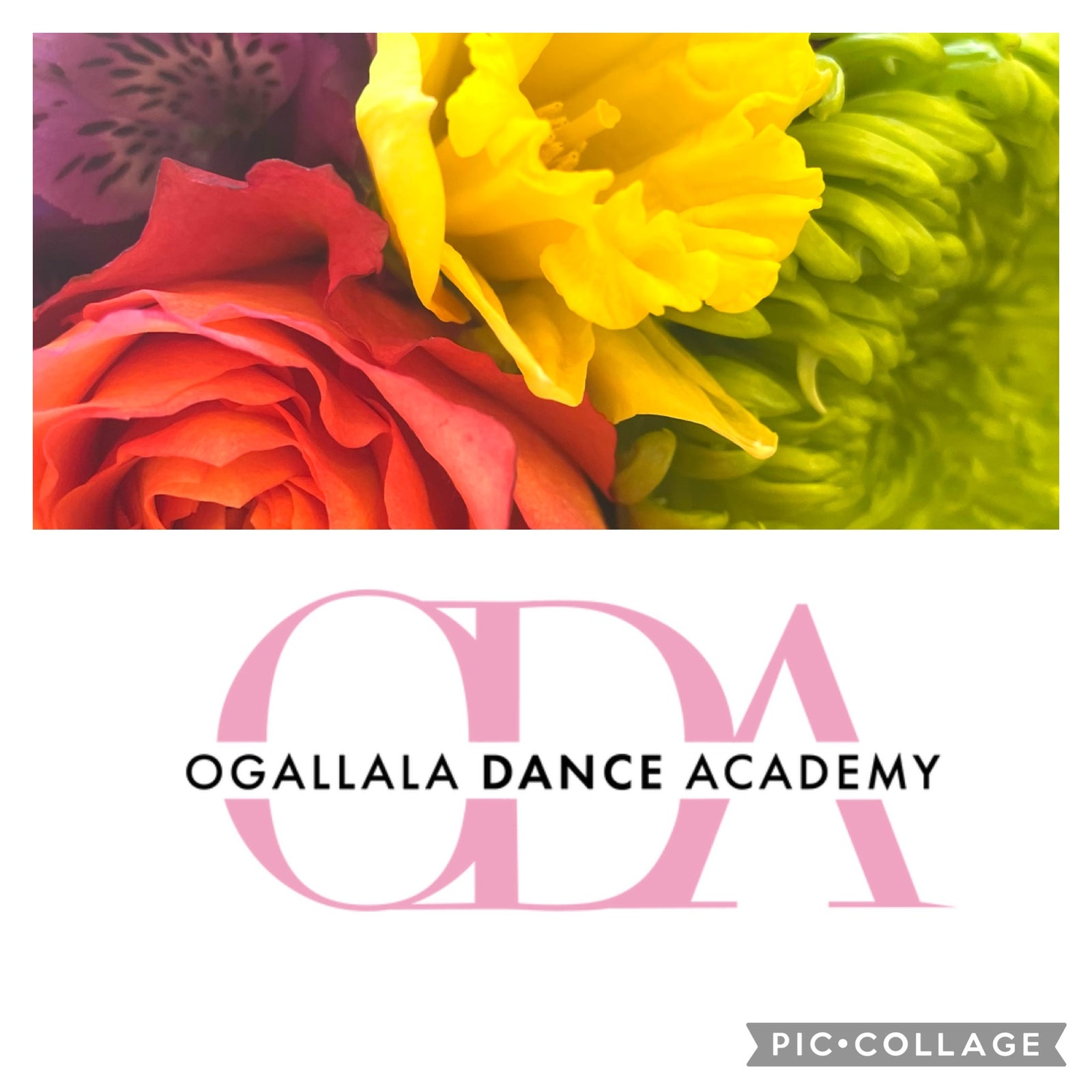 🌈 “Crazy Love” 🌈Presentation Bouquet of Rainbow- Signature