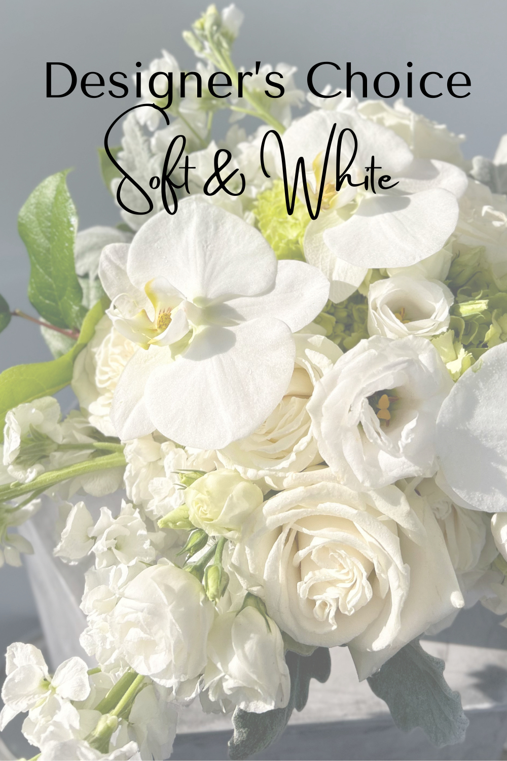 Desligner's Choice-Soft Whites