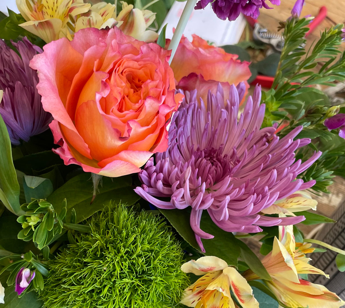 Bright Blume x Poppy &amp; Pout