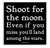 Shoot for the Moon…Magnet