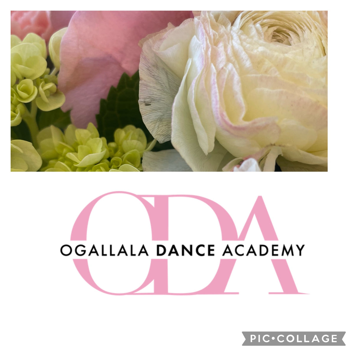 🎀 “Baby Love” 🩰Presentation Bouquet of Pinks- Sweet