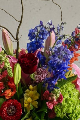 A vibrant mixed floral arrangement in a clear glass vase, featuring pink lilies, blue delphiniums, red roses, and green hydrangeas, set against a neutral light gray wall on a white surface.