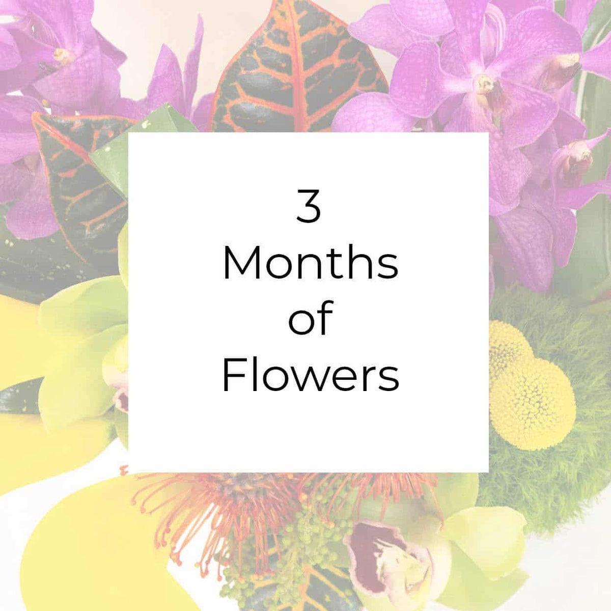 subscription 3 months of flowers