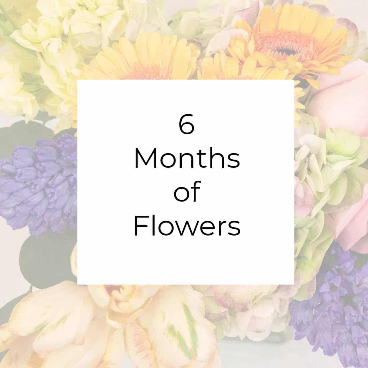 subscription 6 months of flowers