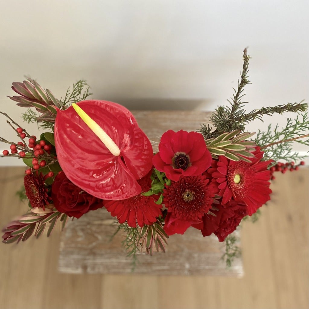 Winter Berries and Blooms