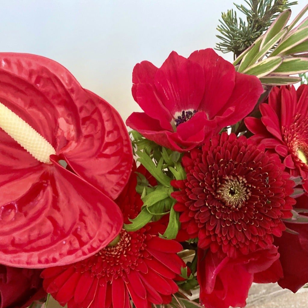Winter Berries and Blooms