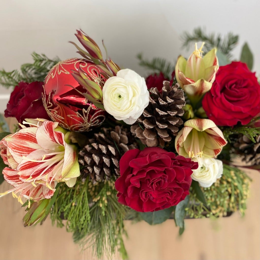 Christmas Blooms
