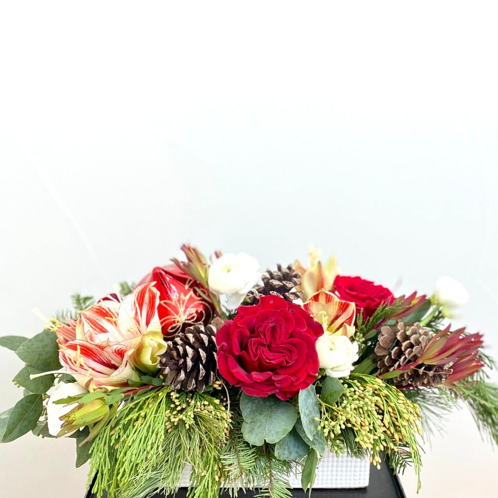 Christmas Blooms