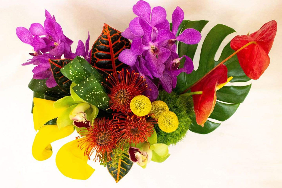 anthurium, orchids, protea, tropical leaves