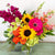 Bright Blumes