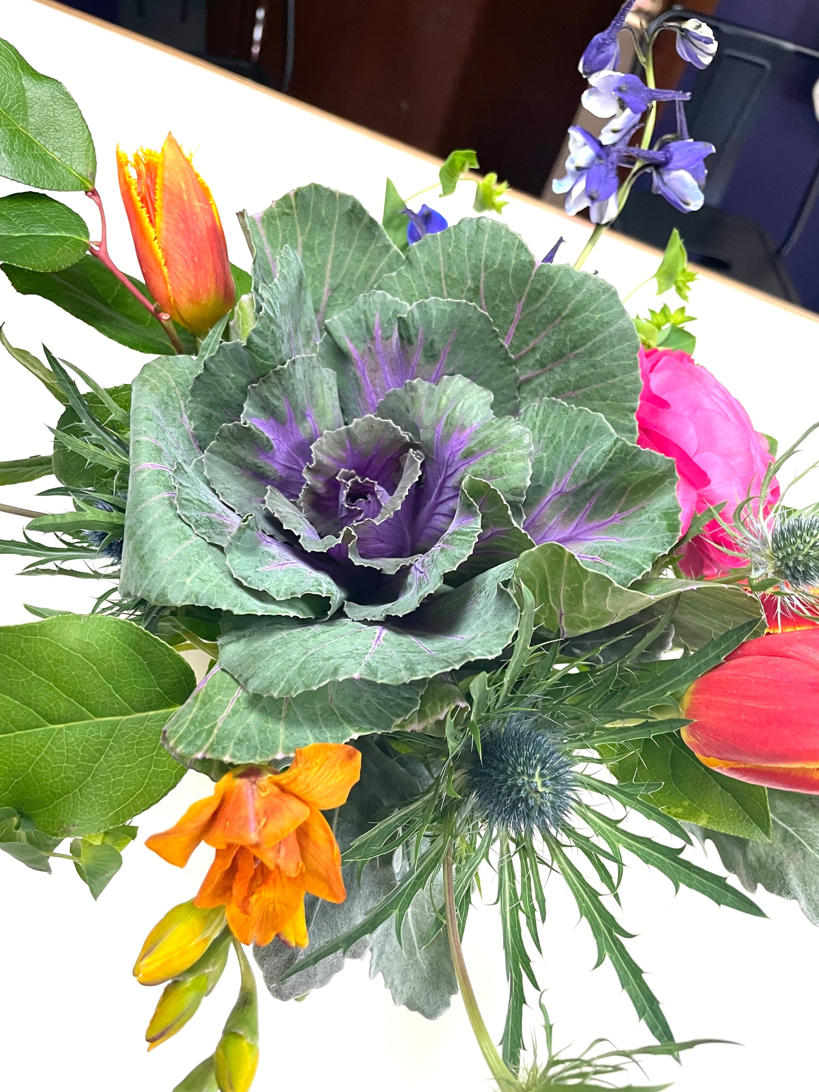 “Bloom’s” Blumes