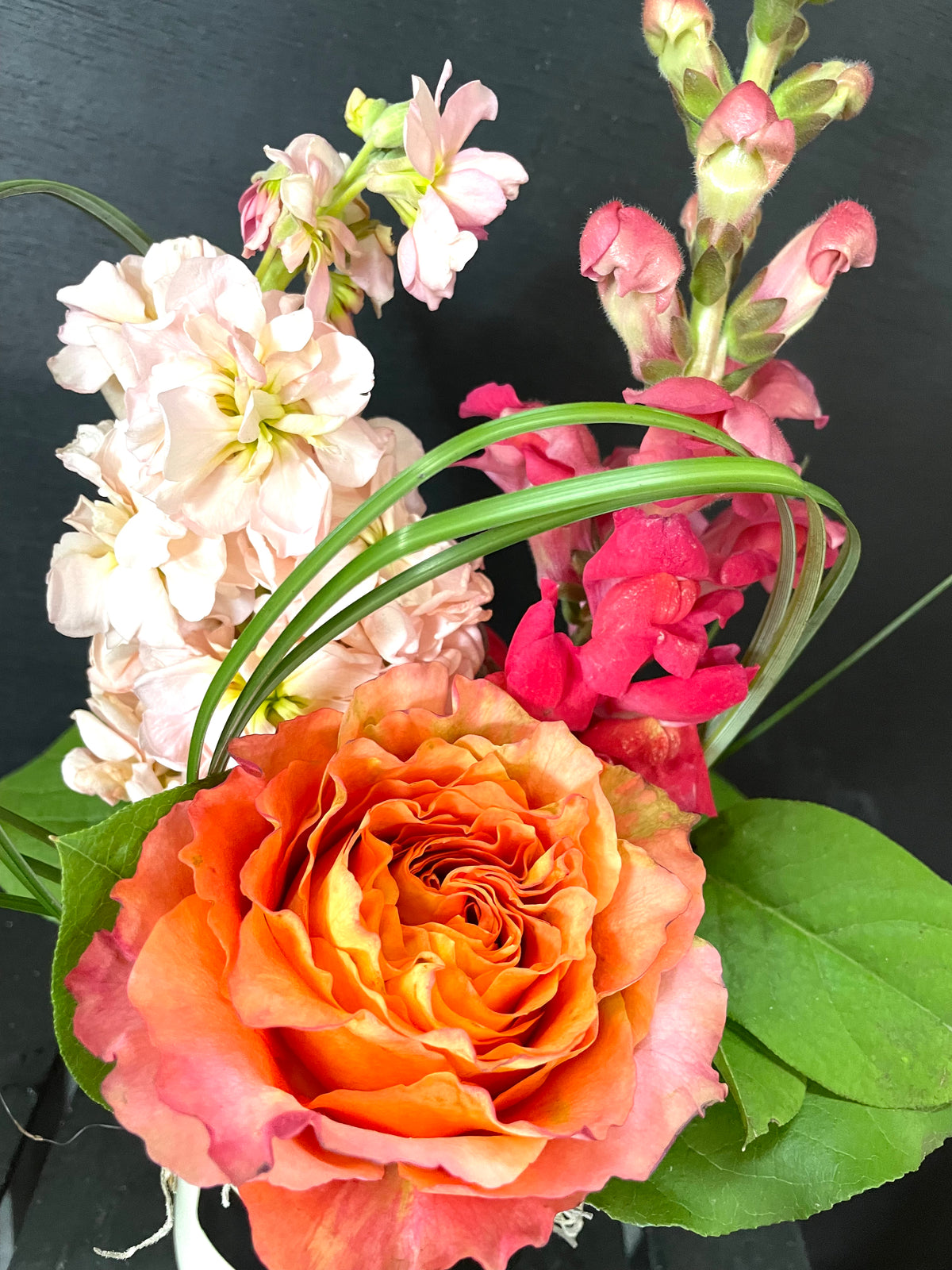 First Class Nurse Blume