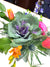 “Bloom’s” Blumes