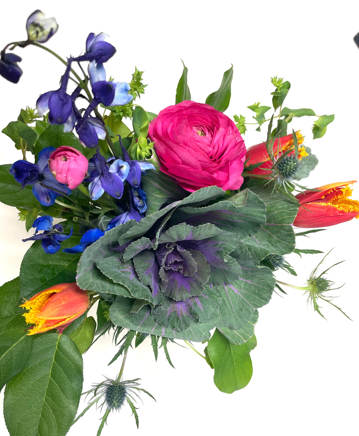 “Bloom’s” Blumes