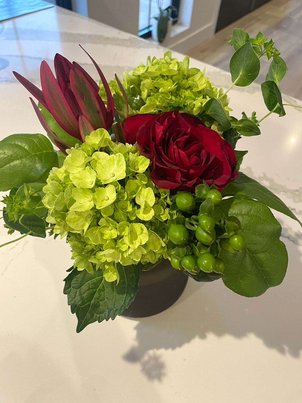 Holiday Blume Special