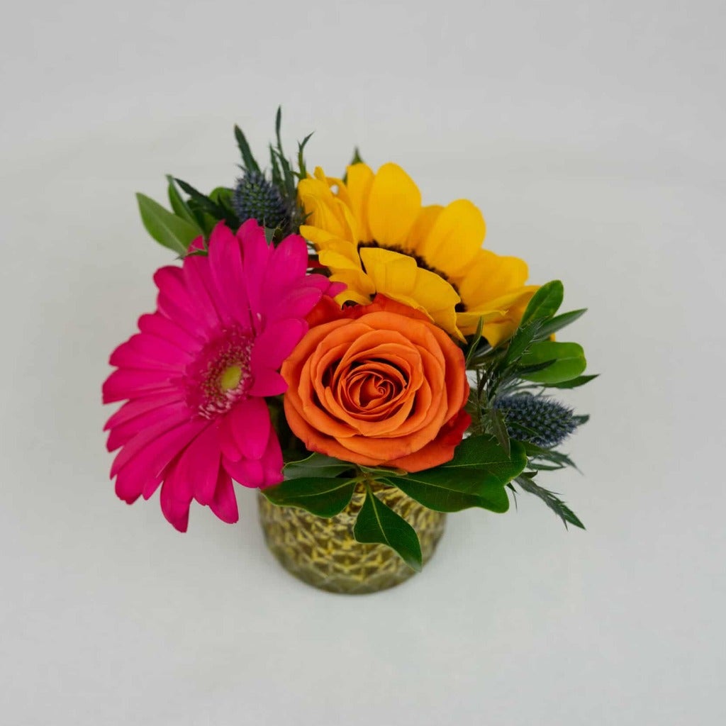 Lil’ Bright Blumes