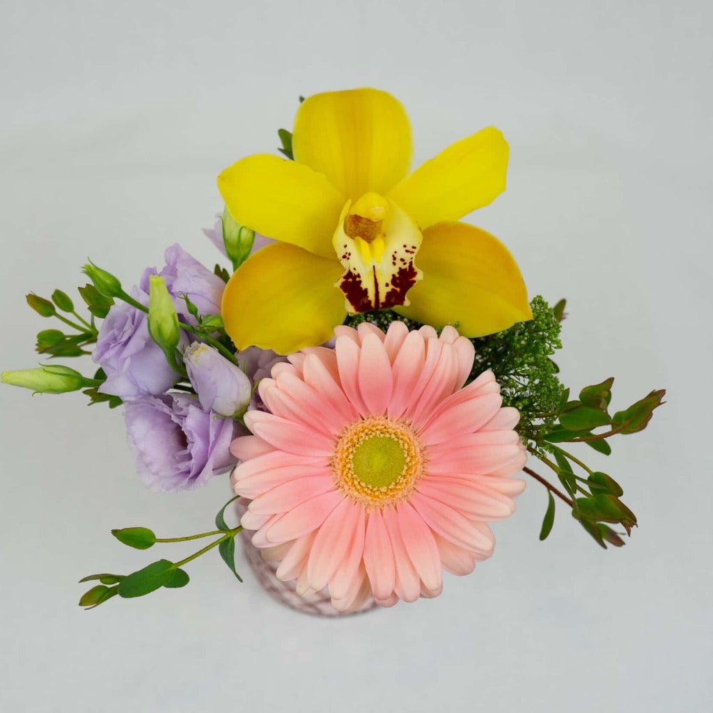 Lil’ Pastel Blumes